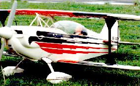 Pitts