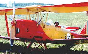 Tiger Moth
